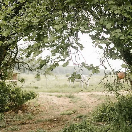 La Bulle De La Ferme Du Ry
